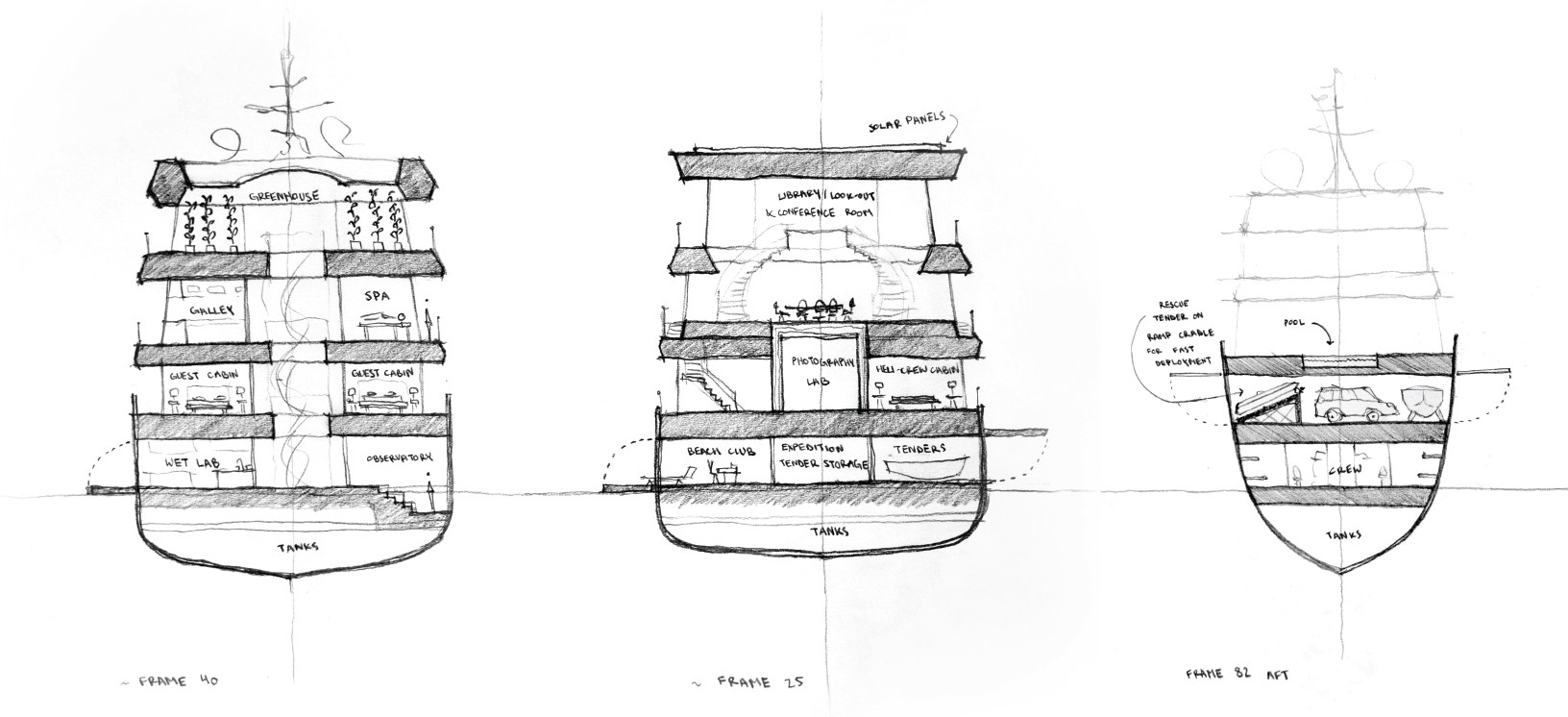 Transverse Sections