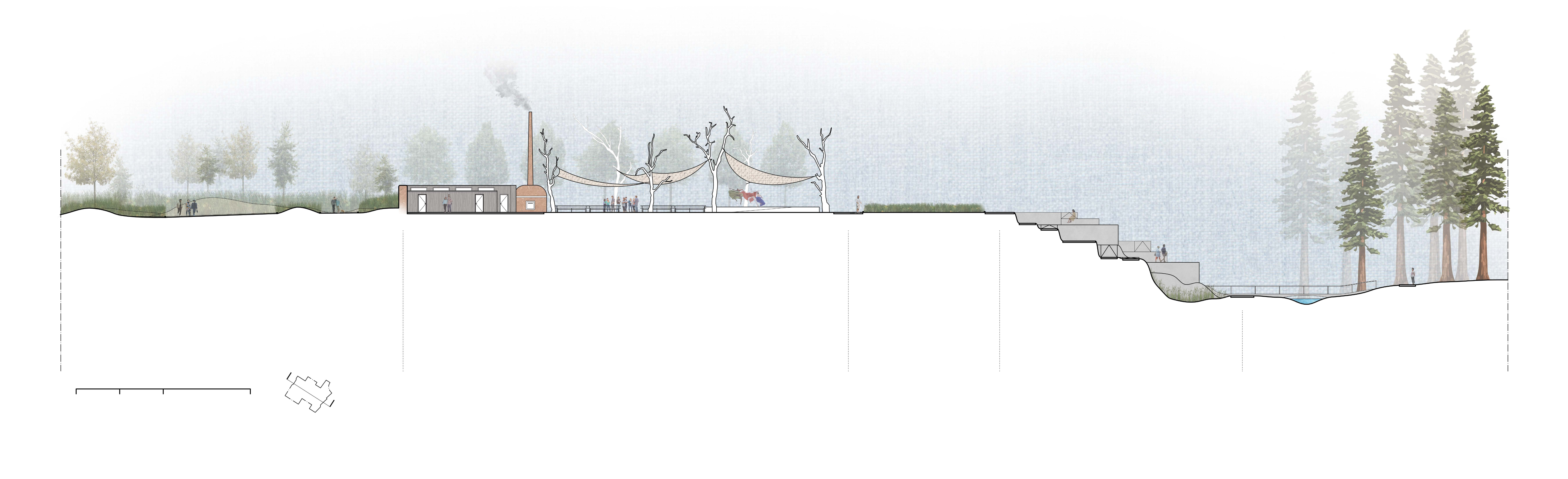 Site Section AA · Meadow · Native Plant Garden · Hearth · Dining Hall · Dance Pavilion · Fire Meadow · Fire Buffer · Wetland · Creek · Redwood Grove