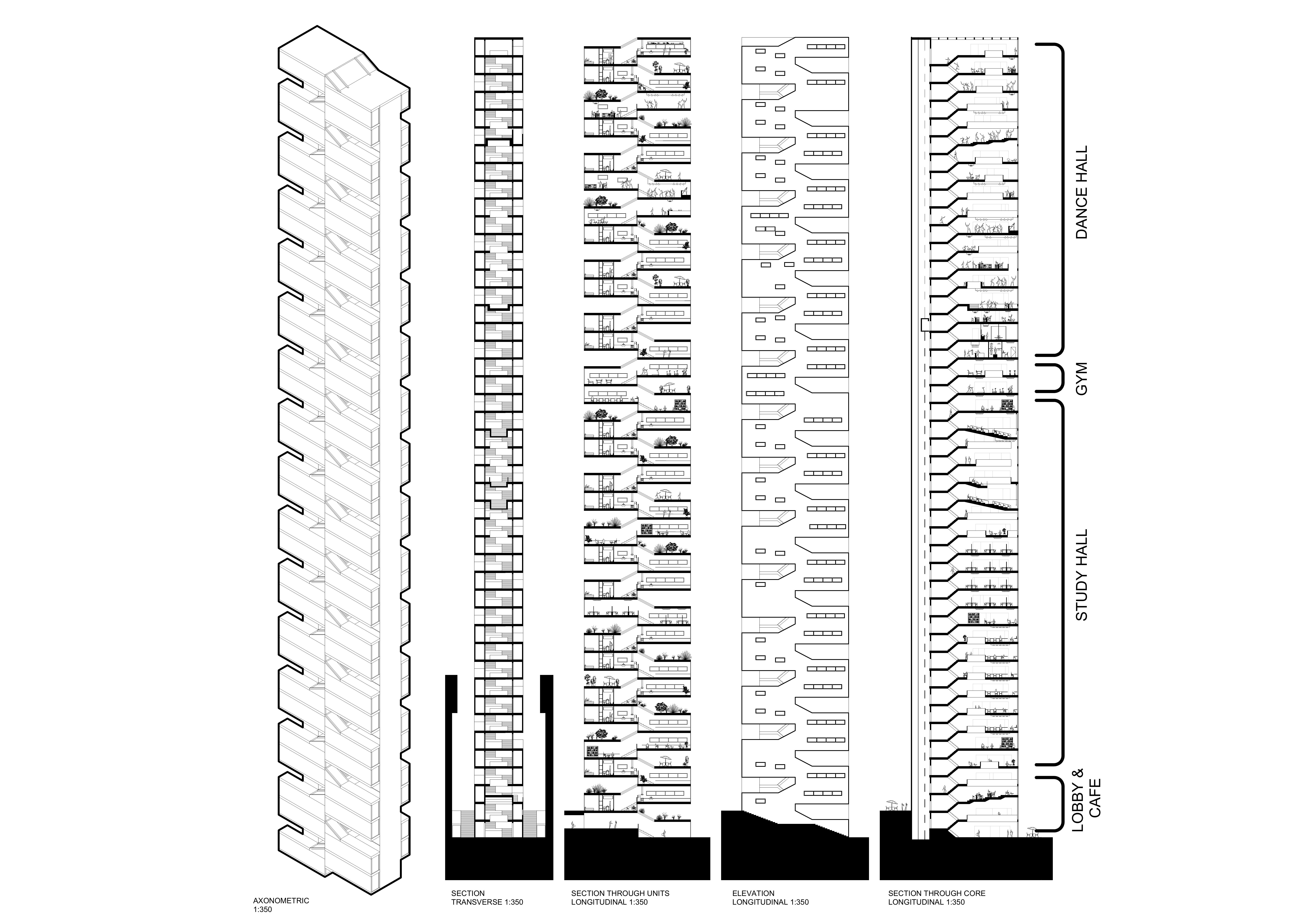 Sections