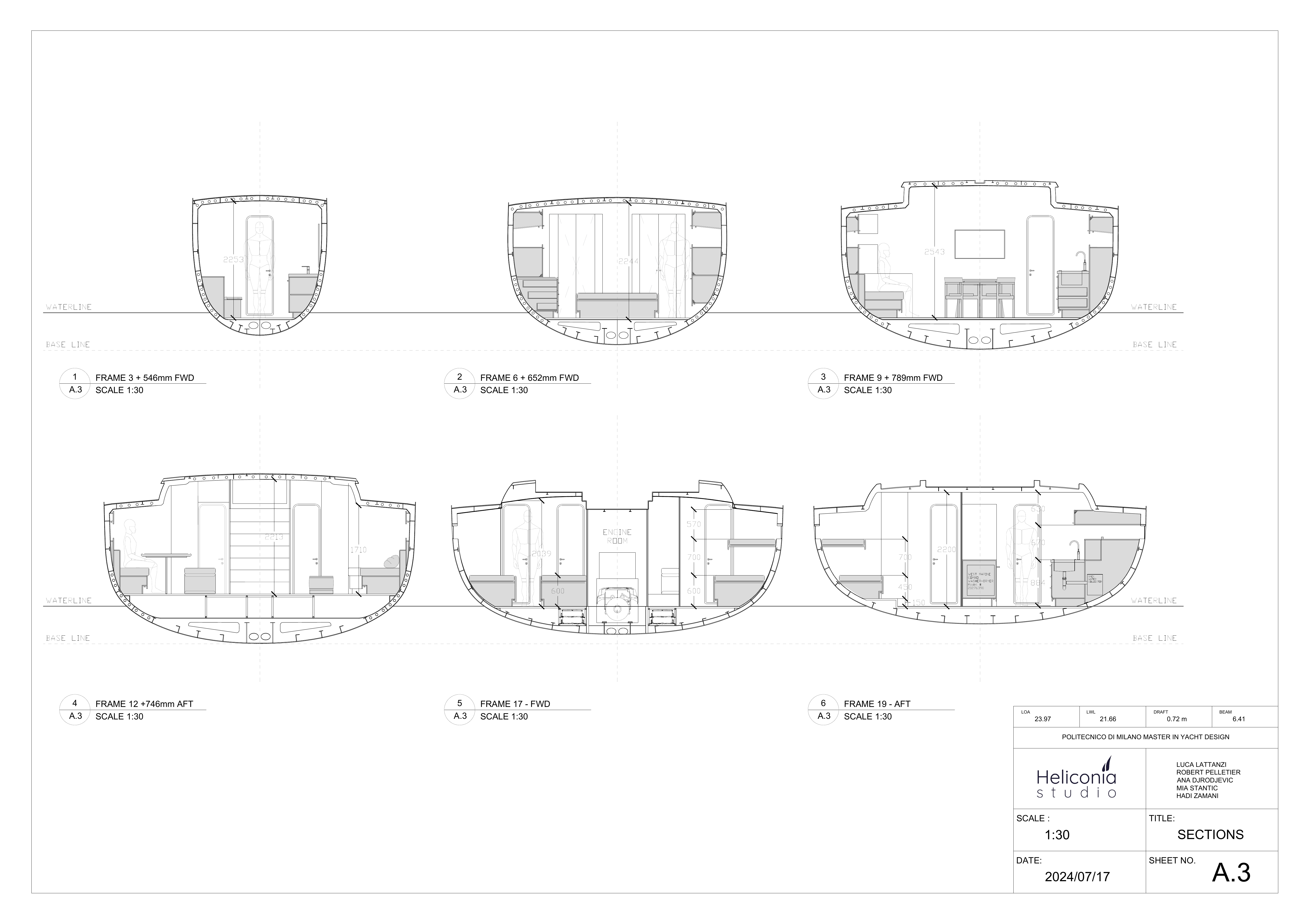 Longitudinal Section